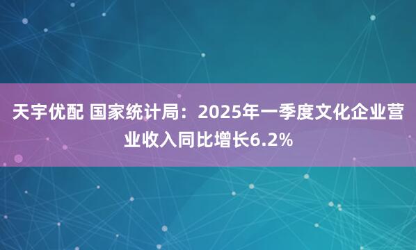天宇优配 国家统计局：2025年一季度文化企业营业收入同比增长6.2%