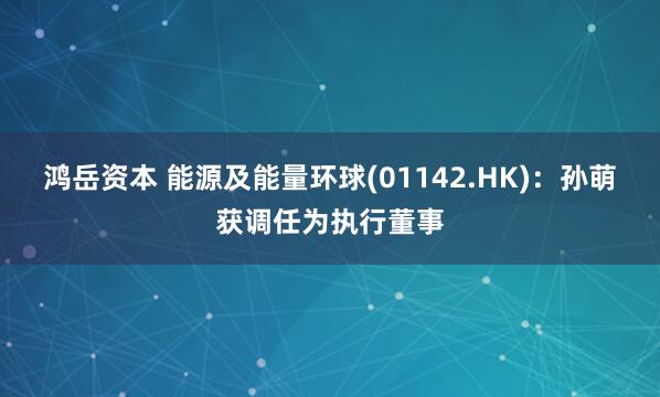鸿岳资本 能源及能量环球(01142.HK)：孙萌获调任为执行董事