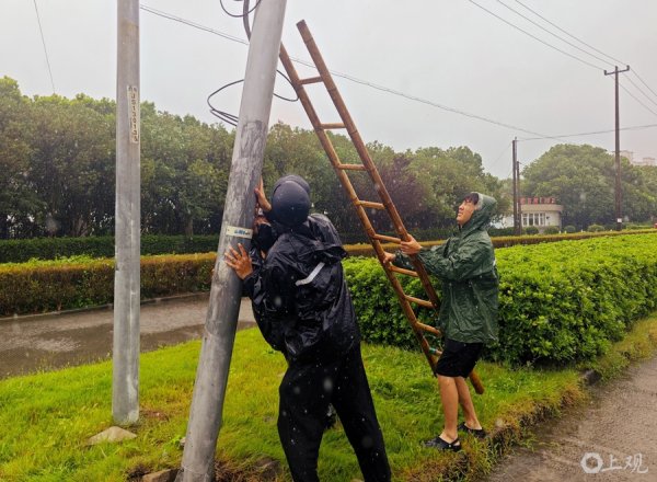赢正通 “竹节草”来袭，暴雨天出行，这份安全指南一定要收好！